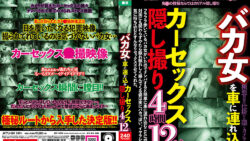 「バカ女を車に連れ込みカーセックス隠し撮り4時間12人」レビュー：刺激的な盗撮映像の魅力と詳細解説